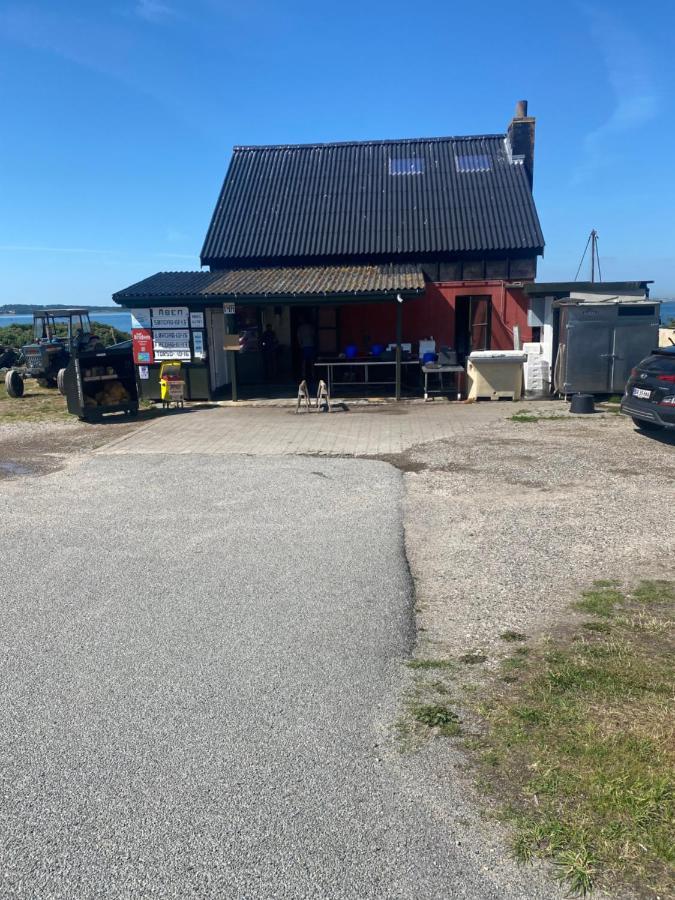 Nyhus, Dragsmur, Mols Knebel Extérieur photo