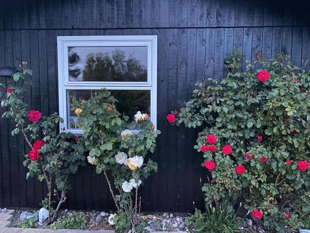 Nyhus, Dragsmur, Mols Knebel Extérieur photo